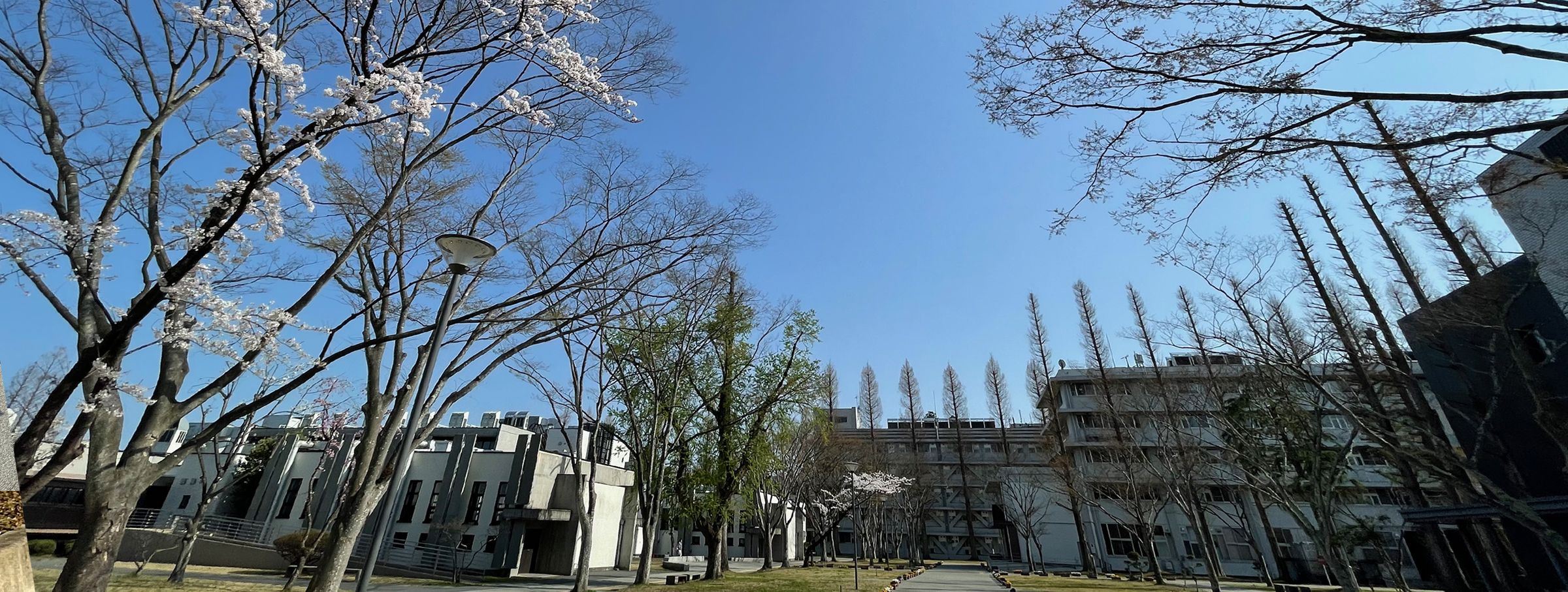 東北大学生向けマンションAround川内川前丁のアクセス画像